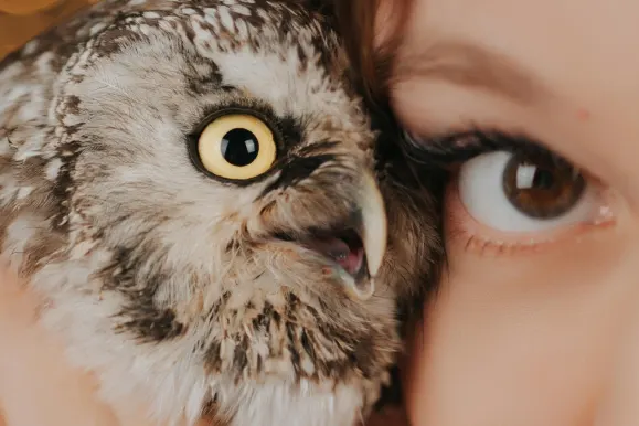 プレイフォルトゥナ カジノ サポート